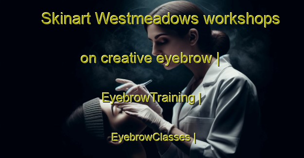 Skinart Westmeadows workshops on creative eyebrow | EyebrowTraining | EyebrowClasses | SkinartTraining-Australia